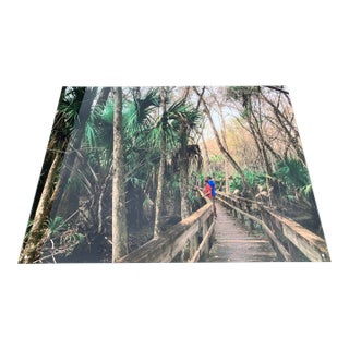 Old Florida; Highlands Hammock State Park, Sebring Florida Photo Print. Cypress Swamp Boardwalk, Four by Three Feet in Plastic For Sale