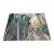 Old Florida; Highlands Hammock State Park, Sebring Florida Photo Print. Cypress Swamp Boardwalk, Four by Three Feet in Plastic For Sale