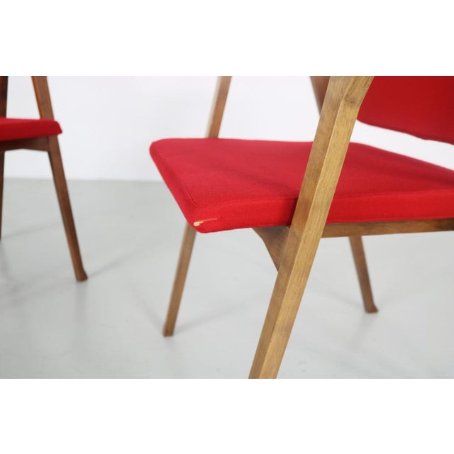 Set of Luisa Chairs by Franco Albini for Poggi, 1950 For Sale - Image 15 of 18