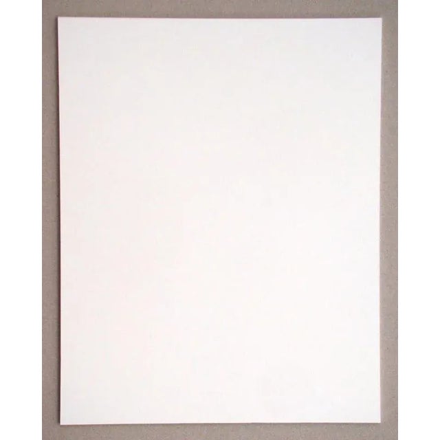 Georges Braque, The Toilet in Front of the Window, 1946, Heliogravure For Sale - Image 12 of 13