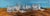 This painting is about Gulls also known as Seagulls. They belongs to the seabird family Laridae. Most gull species are...