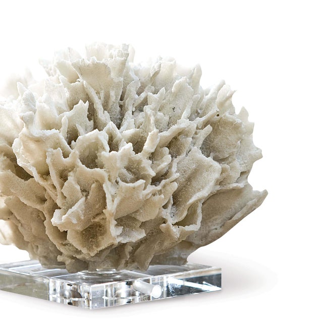 Traditional Regina Andrew Ribbon Coral in White For Sale - Image 3 of 6