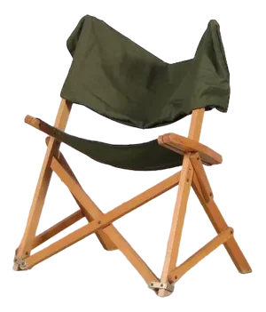 Praia Folding Chair by Pier Giacomo Castiglioni for Gavina, Italy, 1960s