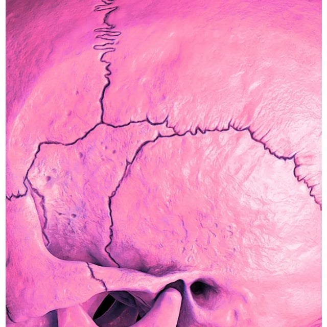 Mr Strange, Death in Pink, 2021, Giclée on Aludibond For Sale - Image 5 of 6