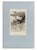 Lithograph on paper. Plate 28 of the Series "Impressions de Ménage". An original nineteenth-century lithograph by the...