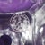 1920s 1920s Baccarat Cut Crystal Bourbon Decanter in Perfection For Sale - Image 5 of 5