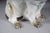 Brown Ceramic Pug Dog Figurine, England, 20th Century For Sale - Image 8 of 18