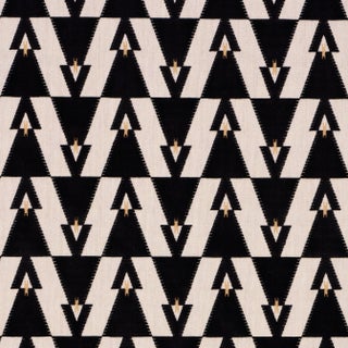 Schumacher Kalido Velvet Fabric In Onyx For Sale