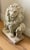 Antique Concrete Garden Lion Sculpture For Sale - Image 4 of 5
