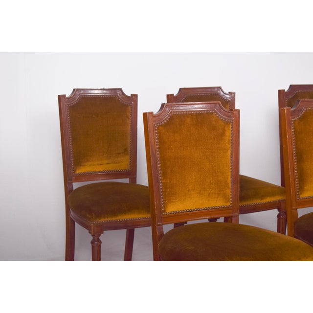 Wood Portuguese Dining Chairs, 1950s, Set of 8 For Sale - Image 7 of 12