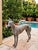 Vintage Cast Lead Greyhound / Whippet Garden Statue For Sale - Image 12 of 12