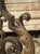 Pair of Decorative French 1940s Wrought Iron and Tole Fireplace Chenets For Sale - Image 14 of 18
