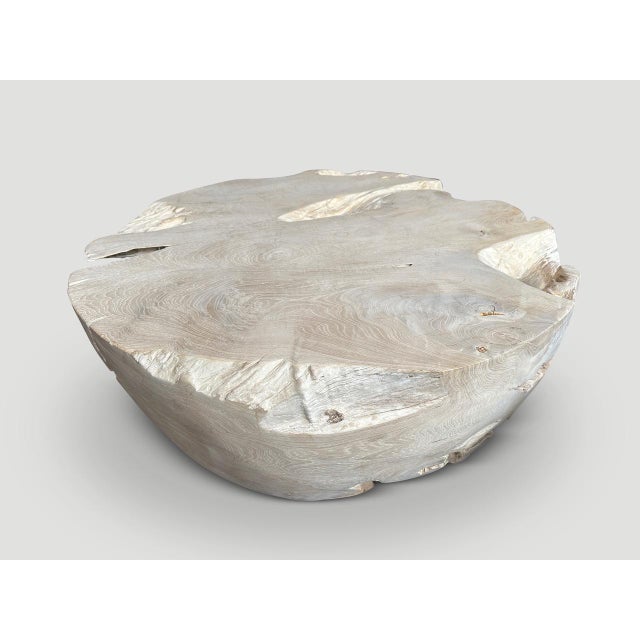 Andrianna Shamaris Organic Drum Shape Teak Wood Coffee Table For Sale - Image 16 of 18