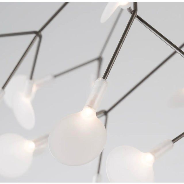 Modern Heracleum II Led Chandelier by Bertjan Pot for Moooi For Sale - Image 3 of 4