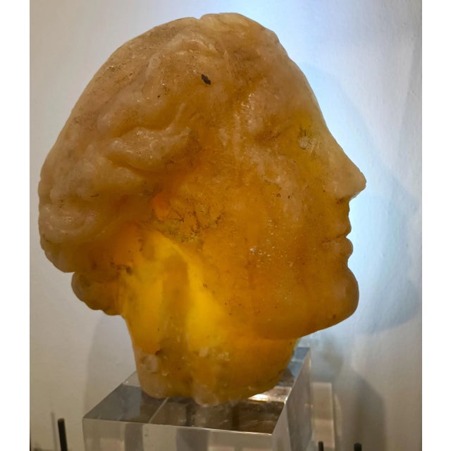 Academic Sculpture of a Venus Head with an Amber Effect, 1950s, Wax For Sale - Image 4 of 10