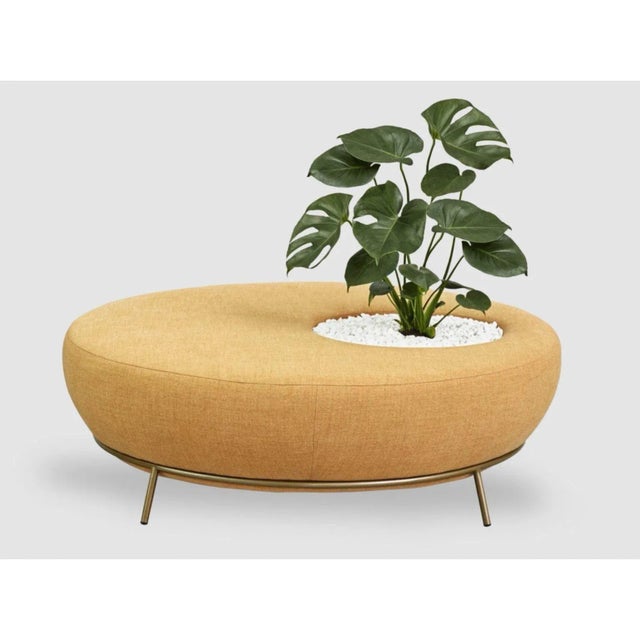 Not Yet Made - Made To Order Nest Round Sofa Planter by Paula Rosales For Sale - Image 5 of 6