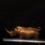 Traditional Late 19th Century Gilt Bronze Rhinoceros Statue, 1.1kg For Sale - Image 3 of 9