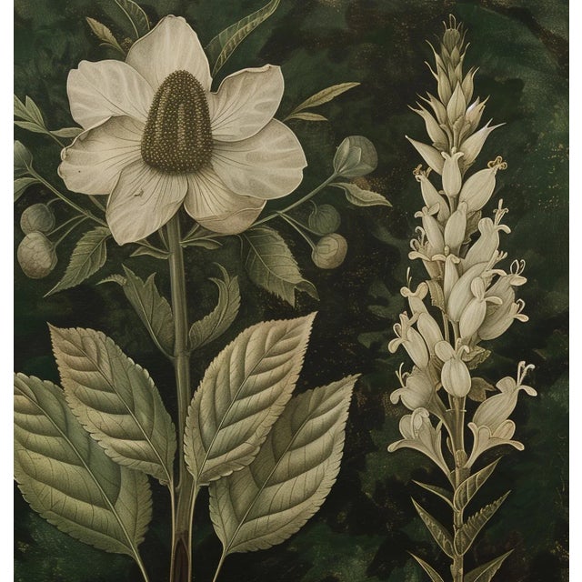 Campaign 18" X 18" Original Botanical Fine Art Print - Dark Green Grisaille For Sale - Image 3 of 5