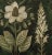 Campaign 18" X 18" Original Botanical Fine Art Print - Dark Green Grisaille For Sale - Image 3 of 5