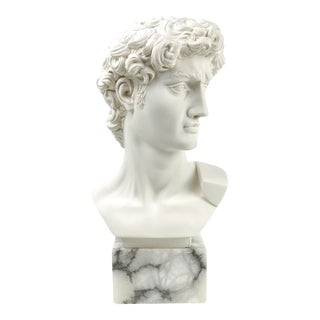 Guiseppe Bessi (1857-1922) Alabaster and Marble Bust Sculpture of Michelangelo's David For Sale