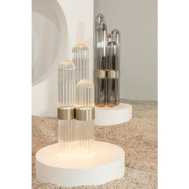 Cactus Big Floor Lamp Transparent by Pulpo For Sale - Image 15 of 18