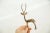 Mid 20th Century Vintage African Copper Left Facing Alert Gazelle For Sale - Image 5 of 7