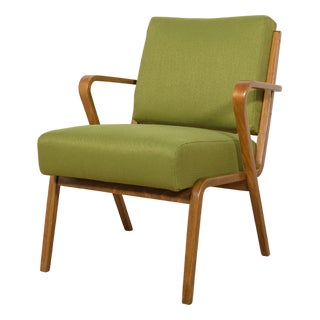 Armchair by Selman Selmanagic for Veb Deutsche Werkstätten Hellerau, Germany, 1950s For Sale