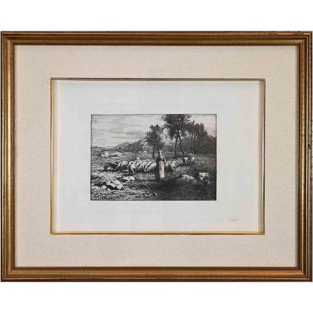 Unknown, Pasture, Late 19th Century, Etching, Framed For Sale