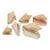 Vintage Large Coastal Genuine Natural Conch Sea Shells- Set of 6 For Sale