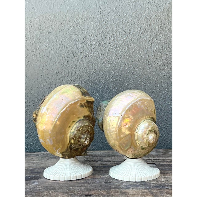Infuse your space with the ethereal glow of these vintage Hollywood Regency-style shell accent lamps. This stunning pair...