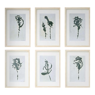 Set of 6 - One-of-a-Kind Organic Modern Dark Green 'Fern' Framed Botanic Oil Paintings by Diane Grant For Sale