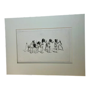 1950s Vintage Original Fox Terriers Etching Print