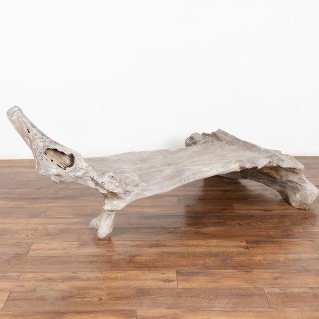 Large Organic Teak Root Bench, Circa 1940-60 For Sale - Image 12 of 12