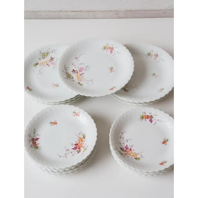 Dishes and Source from Limoges, 1950s, Set of 19 For Sale - Image 4 of 12