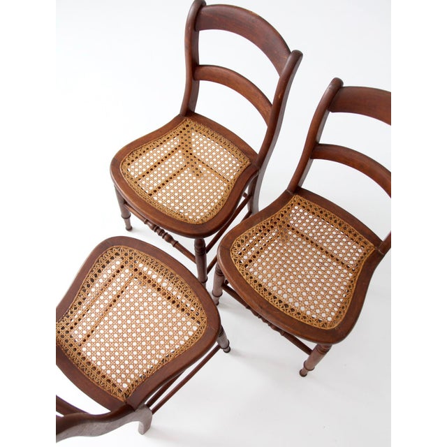 Late 19th Century Antique Cane Seat Dining Chairs Set of 3 For Sale - Image 5 of 14