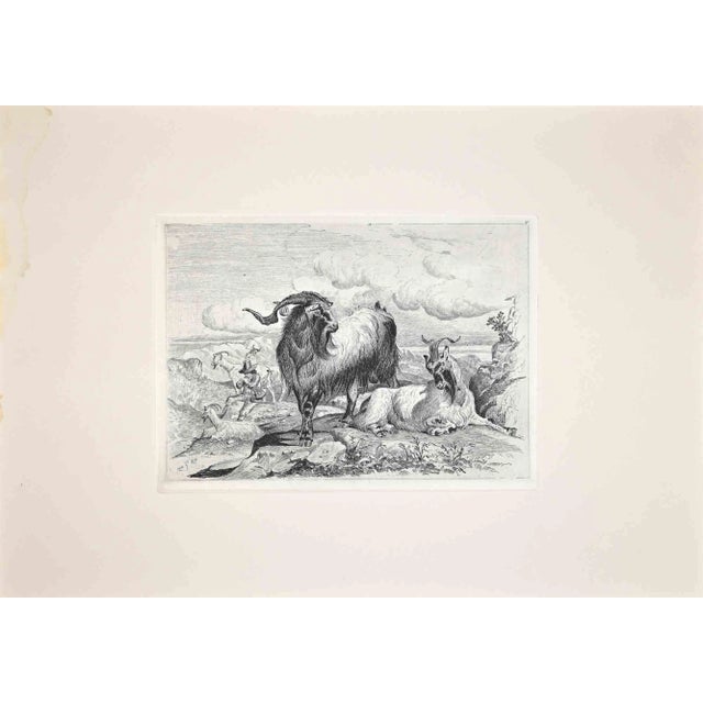 After Charles Coleman, Goats in the Roman Countryside, Reproduction Etching, 1992 For Sale
