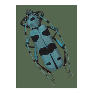Bugs by Seguy #9 For Sale