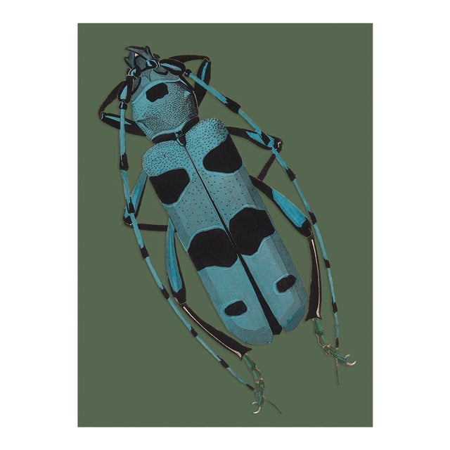 Bugs by Seguy #9 For Sale