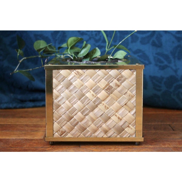 Gold and Woven Fiber Planter - planter basket - brass and grass - houseplant - wicker planter -houseplant basket - boho planter - 70s glam For Sale - Image 6 of 8
