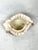Ceramic Vintage Shell Cachepot For Sale - Image 7 of 9
