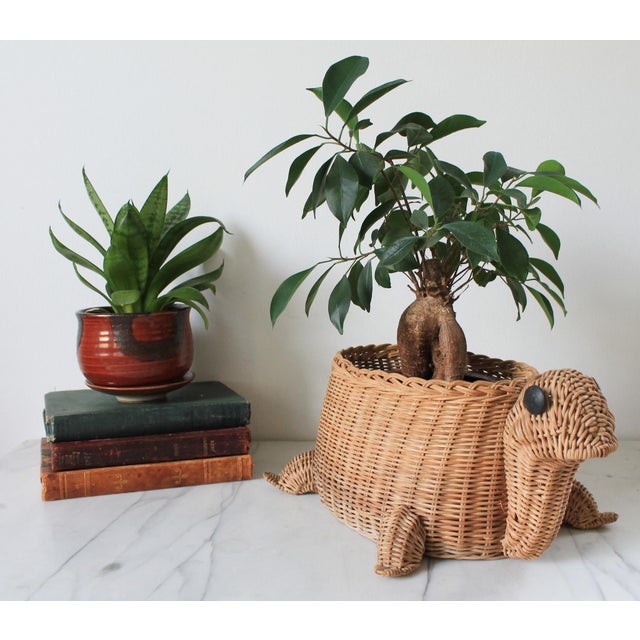 Vintage wicker turtle planter basket. No makers mark. Some fading and discoloration to wicker.