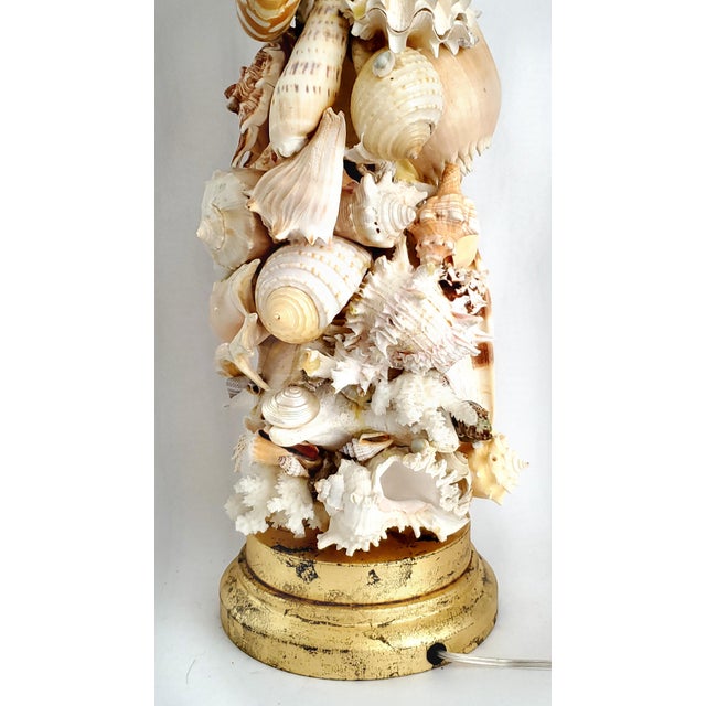 Metal Lamp Real Shells For Sale - Image 7 of 14