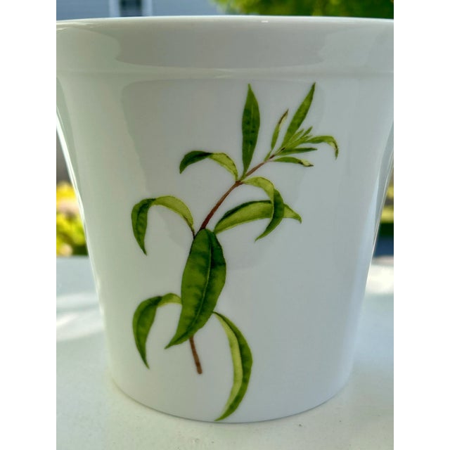 Vintage Pair of Wedgwood Floral Planters For Sale In New York - Image 6 of 10