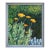 Achillea Moonshine Floral by Eleanor Perry For Sale