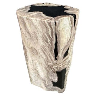Andrianna Shamaris Abstract High Quality Petrified Wood Side Table For Sale