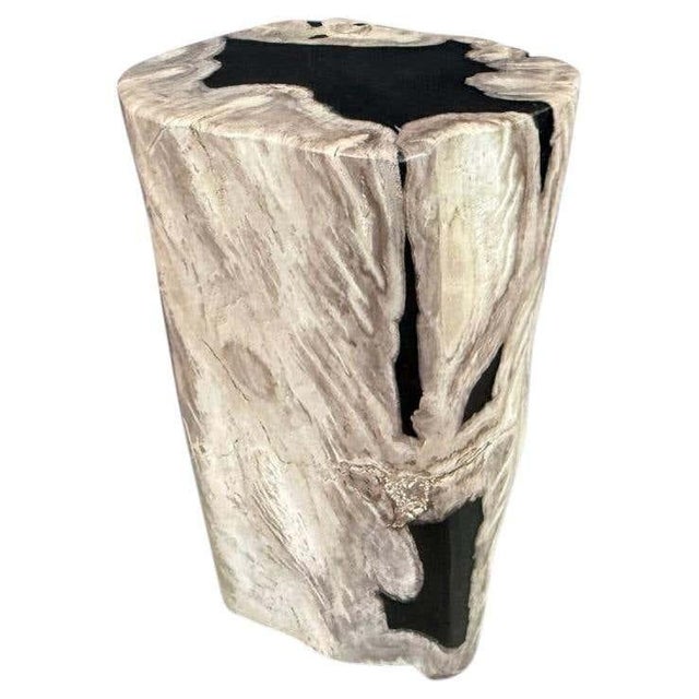 Andrianna Shamaris Abstract High Quality Petrified Wood Side Table For Sale
