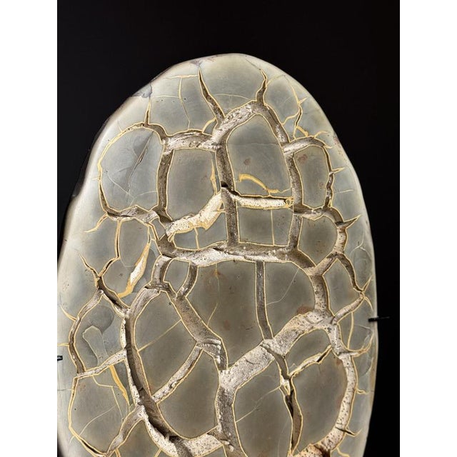 Septaria on Custom Stand For Sale - Image 15 of 18