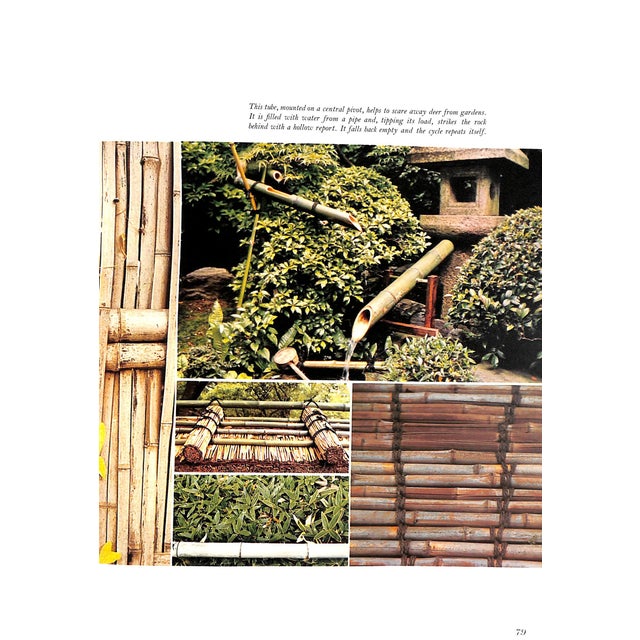 Paper "Bamboo" 1970 Austin, Robert, Levy, Dana, & Ueda Koichiro For Sale - Image 7 of 9
