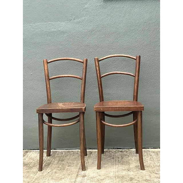 Auburn Vintage Carved Crocodile Wood Dining Chairs - A Pair For Sale - Image 8 of 12