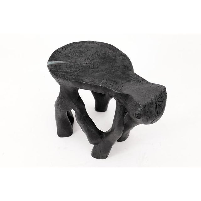 Rustic Sculptural Coffee Table by Logniture For Sale - Image 15 of 18